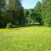 36 buckow fruehling  (600x450)